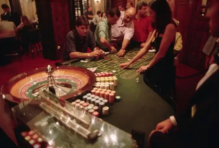 dargon88 Live Casino နှင့် Slots
